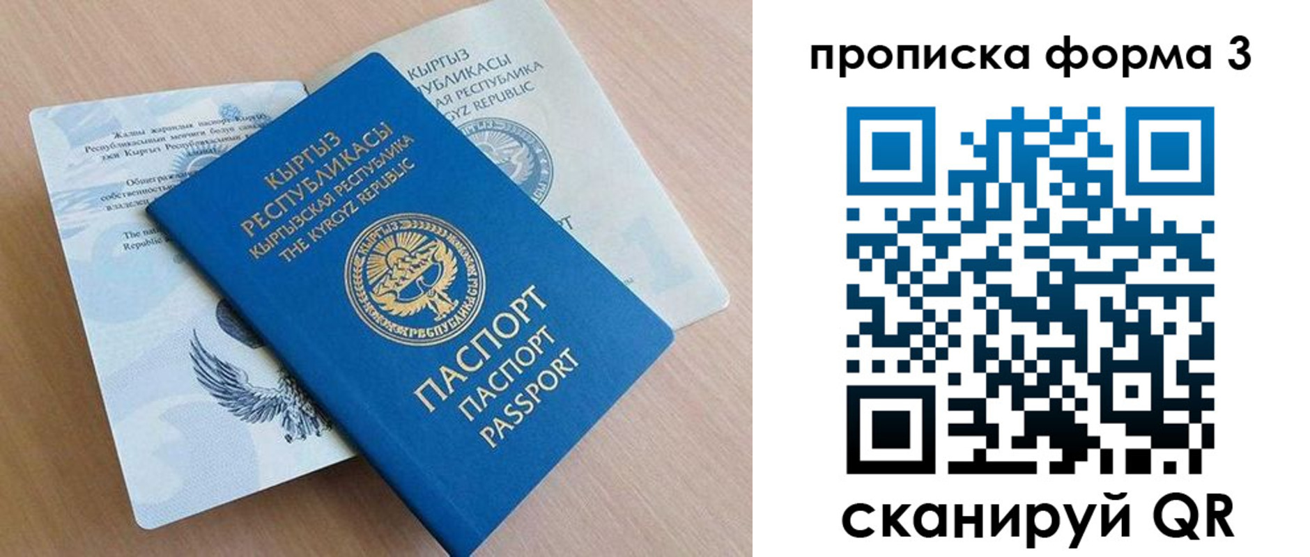где прописаться в Щучье